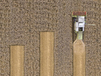 Moissonneuse-batteuse agricole AF88G 90 CV sur chenilles, efficace et à alimentation complète pour la récolte en ferme