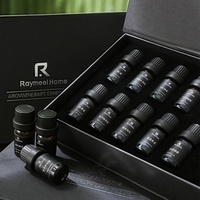 Vente en gros de 10 jeux de diffuseurs à roseaux de luxe bouteilles en verre sans BPA coffrets cadeaux de parfum écologiques comprenant 10 huiles parfumées