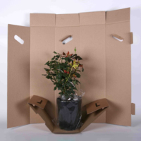 Boîtes d'emballage personnalisées pour plantes, boîtes d'emballage pour plantes vivantes en pot