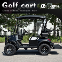 Carrito de Golf de 2 Pasajeros Equipado con Batería de Plomo-Ácido, Plataforma de Carga Grande, Vehículo de Doble Uso para Pasajeros y Carga, Ideal para Villas y Parques