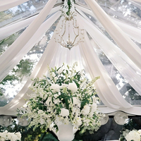 Voilage en tulle polyester aérien pour arche de toile de fond, assorti aux draperies de chaise, tissu élégant pour décoration de mariage, célébrations en extérieur et photos