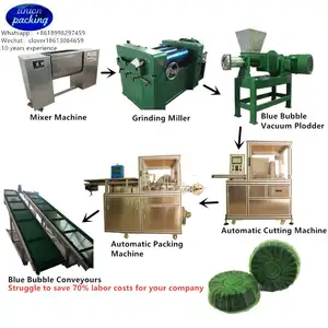 Haute qualité Désodorisant D'urinoir Gâteaux pour machine de fabrication de détergent ligne de produits