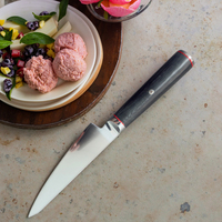 Couteau de chef japonais Hitachi Damas en acier AUS-10 de meilleure qualité avec couteaux de cuisine à manche en bois G10