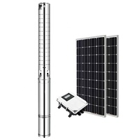 Pompe solaire submersible DC pompe de puits profond SS système d'énergie solaire pompe à eau pour l'irrigation agricole