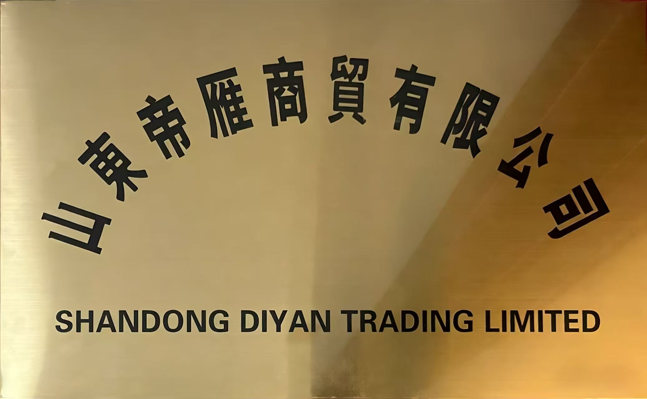 SHANDONG DIYAN TRADING LIMITED logo