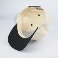 Op maat gemaakte logo CMYK 3D geborduurde baseball caps - 100% katoenen poplin stof hand geborduurde Argyle fruit verstelbare groothandel