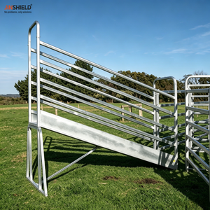 Rampe de chargement pour bétail avec passerelle d'accès pour opérateur et portillon de sécurité - Product Image 6