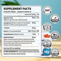 Capsules de magnésium pour adultes OEM/ODM (60 unités) – Soulagement du stress, amélioration du sommeil, soutien de la mémoire – Durée de conservation de 24 mois – Stockage à froid 2