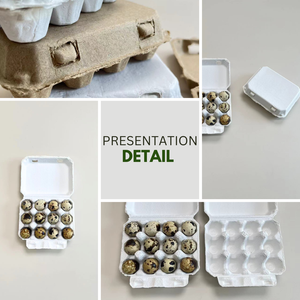Manufacturer Supply 12 Cells Egg Cartons Compostable Quail Cardboard Holder Tray Degradable Pulp White Quail Egg Tray - Product Image 5