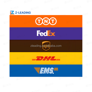 Nhanh chóng vận chuyển hàng hóa giao nhận cho Mexico Door-to-DOOR tùy chỉnh dịch vụ giải phóng mặt bằng nhập khẩu xuất khẩu <span class=keywords><strong>lcl</strong></span> + Express lô hàng DDP đại lý - Product Image 2