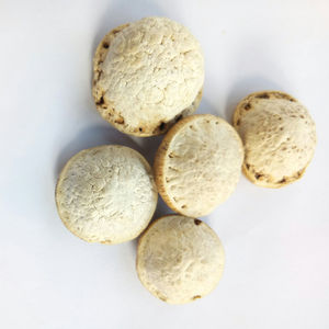 ลิโธคาร์ปัส ปาไคเลปิส สมุนไพรพื้นบ้าน น้ำหนัก 1 กิโลกรัม ผลแห้ง ใหม่ ลูกเต็ม ขาย - Product Image 3