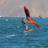 Moule privé Oem Odm personnalisé Waterplay Surf planche de surf en fibre de carbone E Foil Surf WingFoil Wing Hydrofoil Pumping Foil Foil