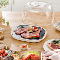 Nouvel arrivage : Plateau de décongélation en plastique antiadhésif et écologique pour viande et aliments surgelés, compatible lave-vaisselle, outil de cuisine domestique