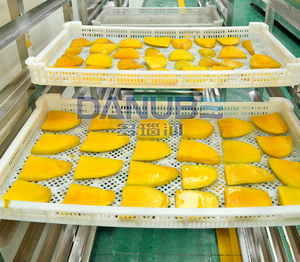 Suitable Price Fruit Slice Drying Equipment Kiwi Dragon Fruit Drying Machine Apple Pear Lemon <b>Dryer</b> - Product Image 5
