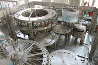 Chaîne de production automatisée par engrenage de noyau Systèmes remplissants intégrés automatiques de boisson carbonatée pour les machines d'embouteillage en verre