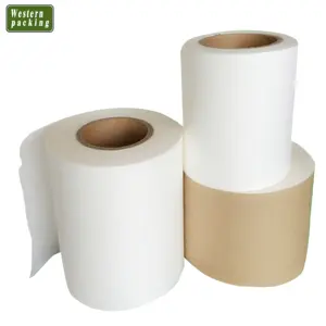 Rollo de filtro de aire, papel de filtro de fibra de vidrio, papel de filtro HEPA