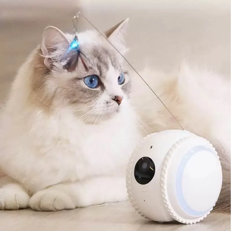 지능형 애완 동물 장난감 HD 카메라 스톡 기능이있는 스마트 자동 대화 형 롤링 볼 고양이 장난감
