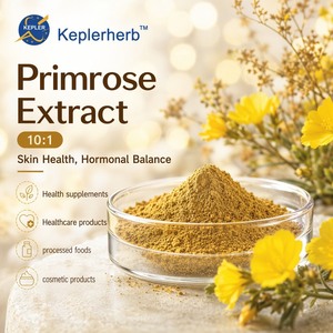 Estratto di Primula Veris 10:1, Integratore Naturale a Base di Erbe per Tosse, Bronchite, Calmante Respiratorio e Sedativo, OEM - Product Image 1