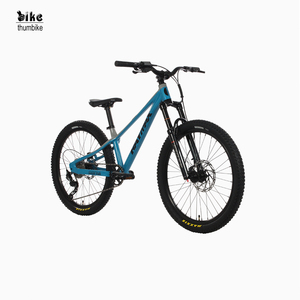 Bicicleta de Montaña Personalizada de Fábrica, Cuadro de Acero de 24 Pulgadas, Aluminio, Frenos de Disco Rmb2401a - Product Image 5