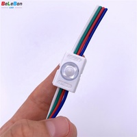Enseignes d'adresse de maison extérieur, 1 puce led en forme de coquille noire, petit Module d'éclairage LED RGB pour signaux de maison, dc 12v