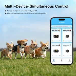 Dispositivo de Rastreo GPS 4G Desmontable de Alta Precisión para Mascotas, Monitoreo de Actividad, Localización, Antipérdida, Geocerca, Collar Inteligente - Product Image 6