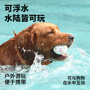 ETPU Bubble Ball Silent Solid Dog Chew Toy Medium Size <b>Bite</b> Resistant Training Rugby Pet Toy - Product Image 5