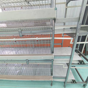 10000 katmanlı tavuk çiftlik kuş kafesi h-tipi el krank gübresi temizleme tavuk kafesi katmanlar için 160 tavuk kümes hayvancılığı - Product Image 4