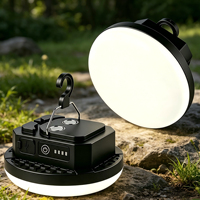 Lampe de camping multifonctionnelle rechargeable pour l'extérieur, prise US, charge COB LED, lumière de jardin portable, crochet, indice de protection IP44