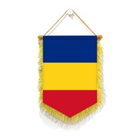Mini drapeaux de voiture promotionnels en satin faits à la main 20x30cm, drapeaux de la Roumanie, accessoires de décoration murale, ornements à suspendre