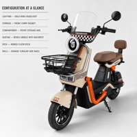Vélo Électrique Adulte avec Panier Avant Transparent, Selle Rembourrée, Faible MOQ, En Stock, Idéal pour les Trajets Quotidiens
