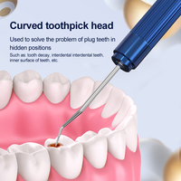 Cure-dents écologiques en acier inoxydable pour soins dentaires, avec têtes courbes et droites, emballage en boîte colorée pour restaurants