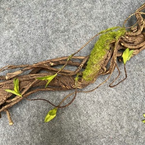 Branches de lianes artificielles en mousse effet vieilli, cannages et rotins artificiels pour la décoration intérieure et de mariage, vente en gros - Product Image 6