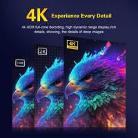 Nouvelle Clé TV Android 14.0 Ultra Mortal Q2 2025 Allwinner H313 4K Wifi6 Qualité Garantie Vente en Gros Multilingue Multimédia