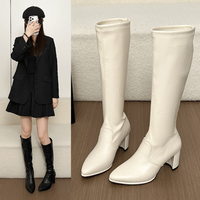 Botas Altas de Mujer hasta la Rodilla, de PU, con Punta Puntiaguda, Tacón Grueso, Estilo Slip-on, Elásticas, Largas, a la Moda, con Logotipo Personalizado, Ecológicas