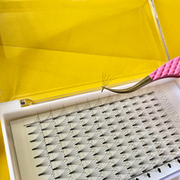 Cils en volume pré-faits à tige courte, faits à la main, 2D, 3D, 4D, 5D, 6D, 7D, les plus populaires, marque privée, 0,07, 0,10, fibres de soie coréennes PBT, 12