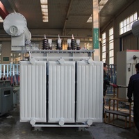 Transformateur de distribution immergé dans l'huile S13 1000 kVA 33/0,415 kV, ONAN, Dyn11, 50 Hz, IEC60076, bobinage en cuivre hermétiquement scellé