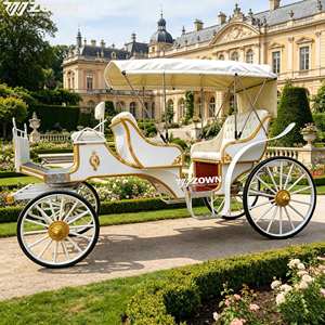 Carroza Eléctrica Clásica de 4 Ruedas ZOWN para Bodas y Turismo con 4-6 Asientos - Product Image 1