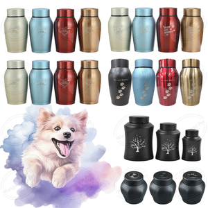 Urna Funeraria de Acero Inoxidable Premium para Mascotas, Urna Conmemorativa para Cenizas de Perros y Gatos - Product Image 1