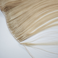 Extensions de cheveux humains russes vierges Remy à micro-liens, avec pointe en plume et cuticule intacte, pour tissage au crochet