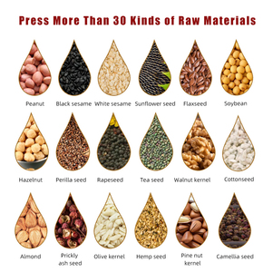 Wholesale Factory Oil Extractor Pressing Machine Oil Making Processing Mill Machinery Seed Oil Presser - Product Image 6