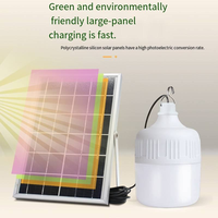 Ampoule solaire étanche IP65 rechargeable pour jardin, utilisation extérieure/intérieure d'urgence, lumière blanche 6000K, 100 lumens, petite taille