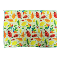 Fashion Absorbent Two Pack Kitchen Towels