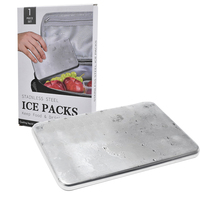 Briques de glace d'acier inoxydable de paquet de glace de refroidissement de boisson de nourriture pour des emballages de bloc de glace de boîte à lunch d'enfants