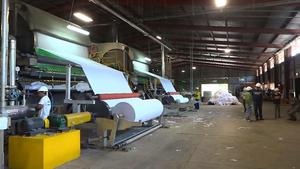 Jumbo Cuộn Giấy Vệ Sinh Khăn Giấy Làm Cho Máy Sản Xuất Bằng Gỗ/Chất Thải Giấy Sản Phẩm Làm Máy Móc - Product Image 5