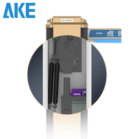 Barrière de stationnement automatique AKE IP54 avec bras de barrière doré, moteur DC sans balais, haute sécurité pour la gestion d'accès des véhicules