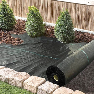 Toile de paillage agricole <span class=keywords><strong>en</strong></span> plastique pour pépinières, anti-mauvaises herbes, pour le marché europé<span class=keywords><strong>en</strong></span> - Product Image 3