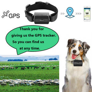 Localizador GPS para Perros Tkstar Tk935, Rastreador de Mascotas, Collar GPS, Rastreador de Animales, Aplicación Winnes, <span class=keywords><strong>Mytkstar</strong></span> - Product Image 2