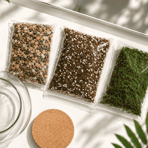 Kit de terrarium en verre DIY, mini paysages, ensemble <span class=keywords><strong>pour</strong></span> débutants, jardin de mousse, <span class=keywords><strong>jardinage</strong></span> d'intérieur, <span class=keywords><strong>cadeau</strong></span> <span class=keywords><strong>pour</strong></span> les amateurs de plantes - Product Image 3