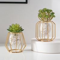Vase hydroponique de luxe léger doré, écologique, créatif, pour la maison et le bureau, conteneur pour plantes aquatiques, décoration moderne en verre pour table