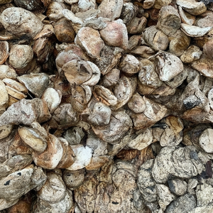 Catégorie de produit Caoutchouc forfaitaire de confiance Premium Vietnam Cup pour le moulage de précision et la performance industrielle - Product Image 1